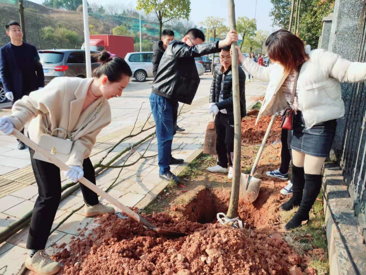 植樹(shù)節(jié)活動(dòng)